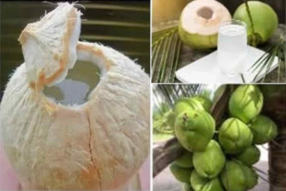 Coco! Un Tesoro Nutricional en la Cocina